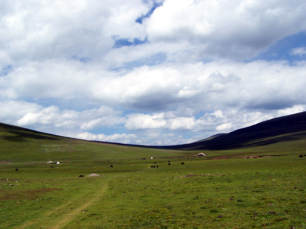 中亚西亚的大草原