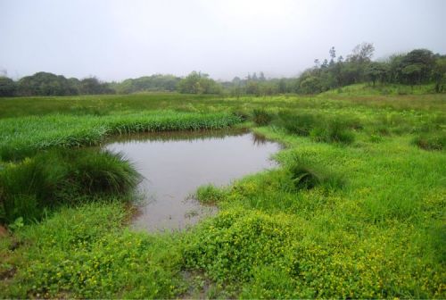 图来自美篇用户崀山户外驿站