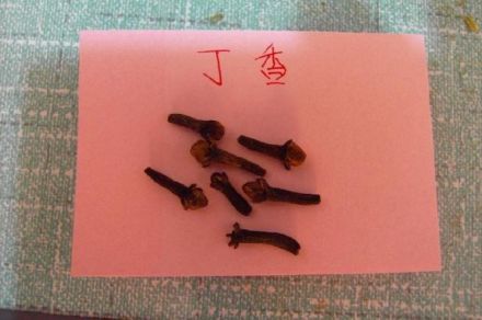 麻辣烫配料介绍：丁香