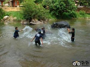泼水