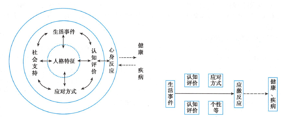 心理应激“系统”模型与应激“过程”模型 