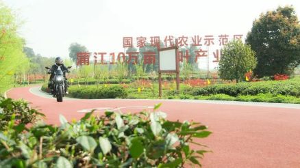 成佳茶乡