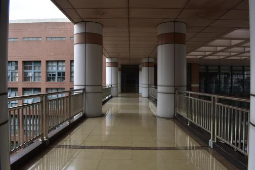 中山大学（东校区）