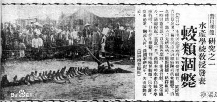 1934年营川坠龙事件龙骨图片