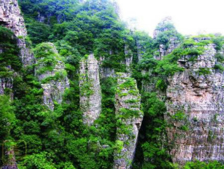 北京霞云岭国家森林公园