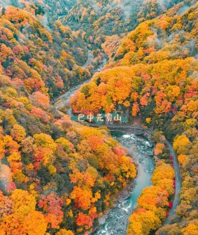 光雾山国家AAAAA级旅游景区风光