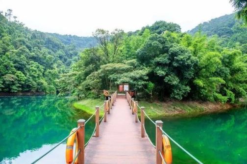 鼎湖山·蝴蝶谷