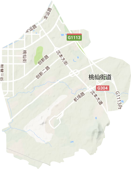 桃仙街道地形图