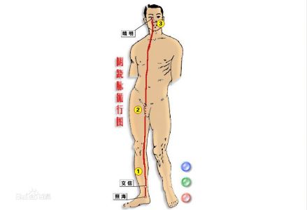 阴蹻脉