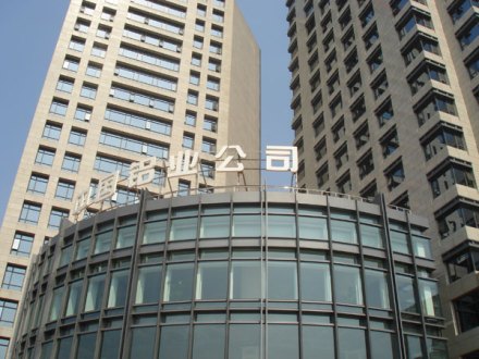 中国铝业公司