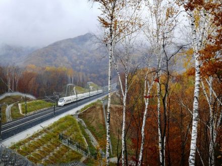 动车组列车行驶在长珲城际铁路上