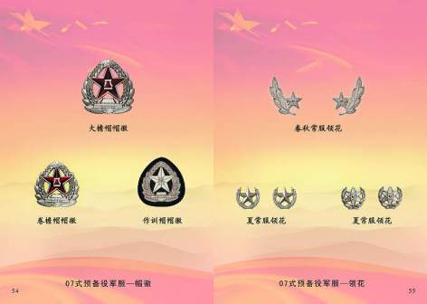 预备役部队 帽徽、领花