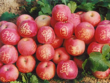淳化苹果