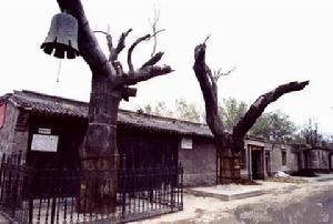 冉庄地道战遗址