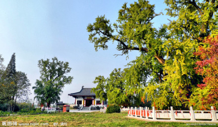 惠济寺