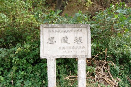 淮阳县重点文物保护单位——思陵冢指示牌 