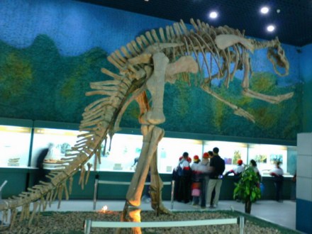 安徽古生物陈列