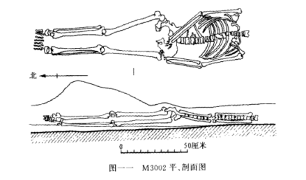 M3002