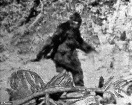 野人