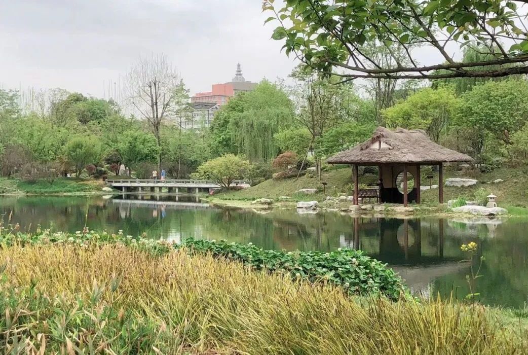 浣花溪公园景色
