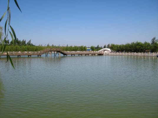 雷泽湖
