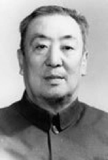 何金海