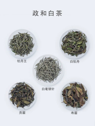 政和白茶