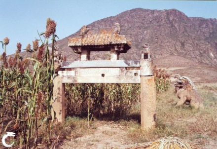杨洪墓