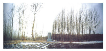 王脖子山遗址群