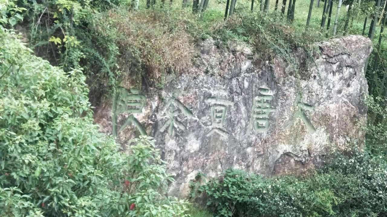 顾渚贡茶院遗址