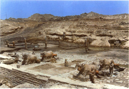 菌津度遗址发据现场