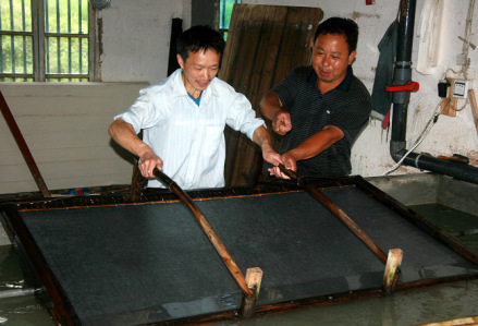 桑皮纸
