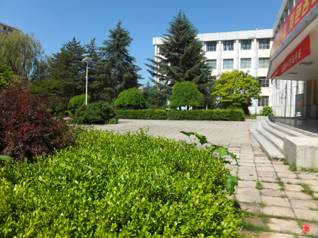 宁夏师范大学老校区校园掠影