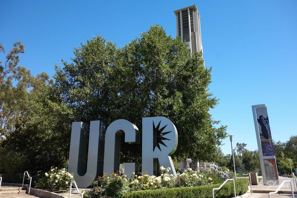 加利福尼亚大学河滨分校