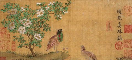 《琼花真珠鸡》