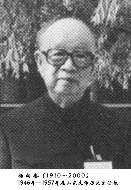 杨向奎