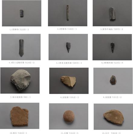 杉龙岗遗址出土石器