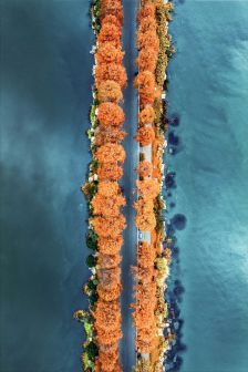 东湖绿道
