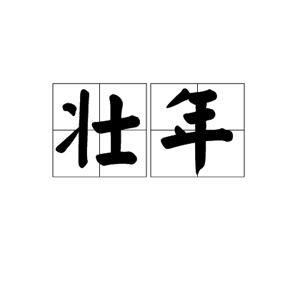 壮年