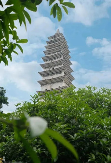 鹫峰寺塔