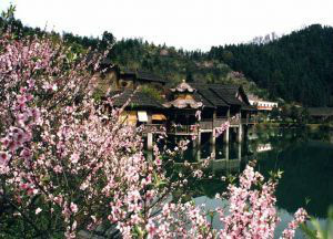 桃花源古建筑群