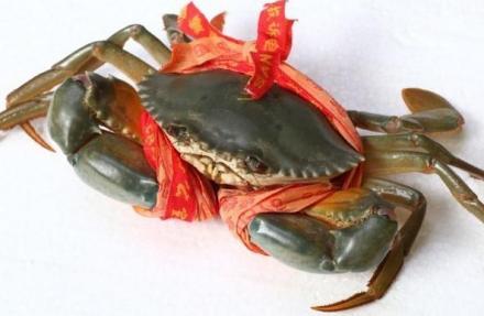 三门青蟹