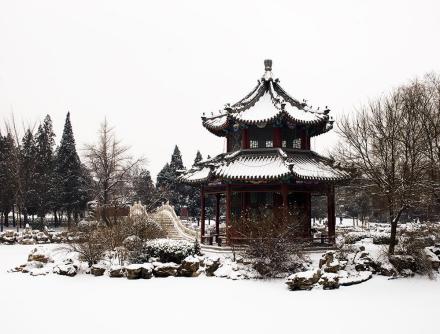 古莲花池