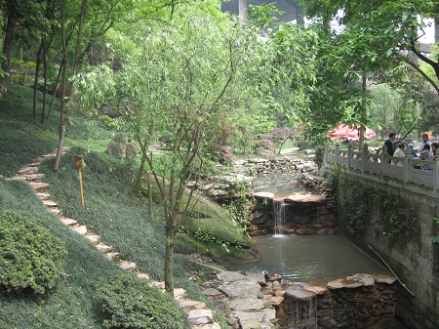 九龙坡区