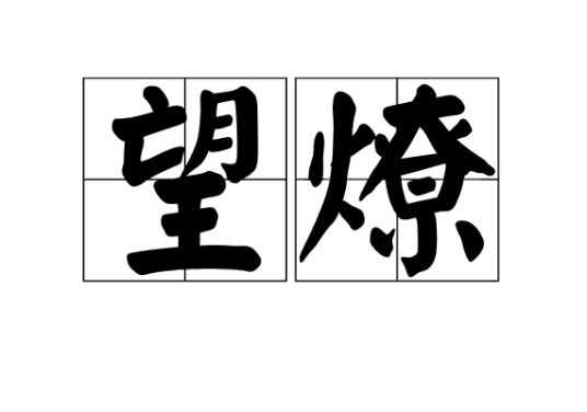 望燎