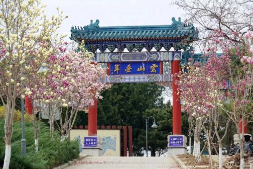 云岗森林公园