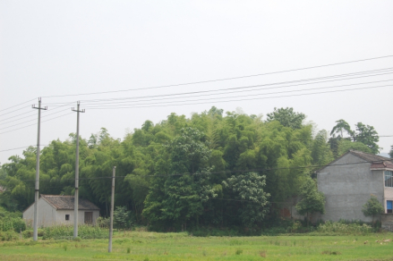 下平地越国贵族墓