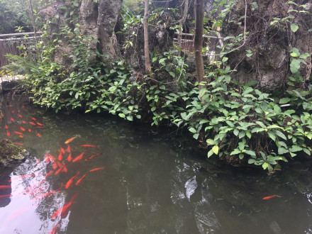 放生池
