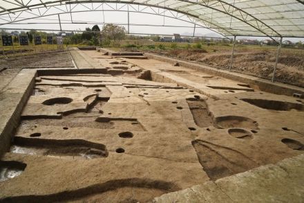 2021年发掘场景照