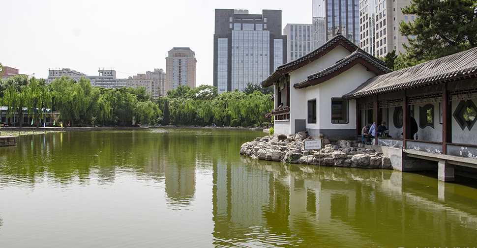 团结湖公园